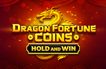 Dragon Fortune Coins slot
