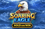 Soaring Eagle slot