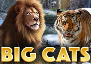 Big Cats slot